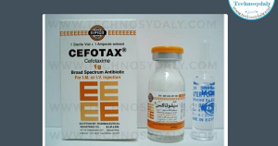 كي ام سيفوتاكسيم 1000مجم فيال -الميدان